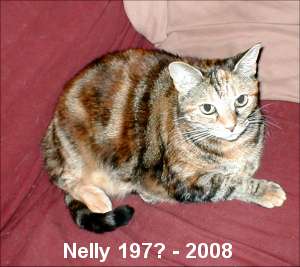 Nelly