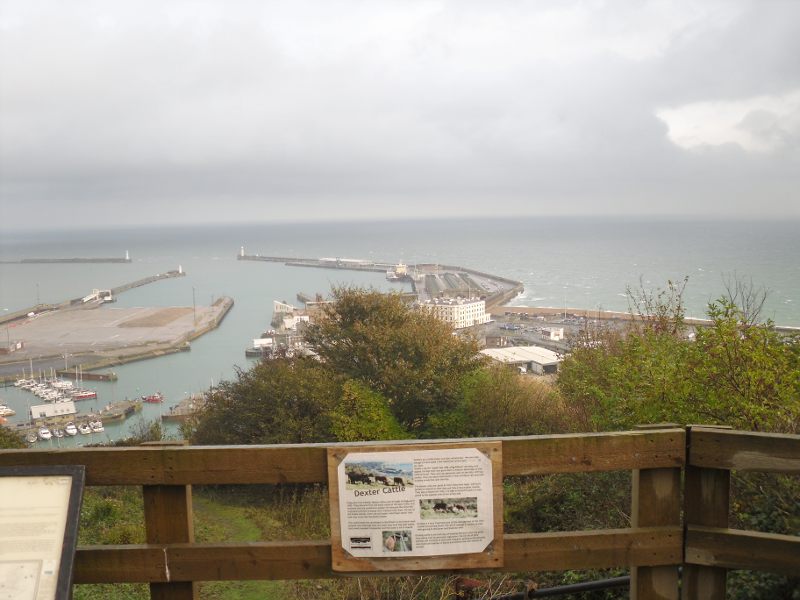 Looking down of Dover Western Harbour