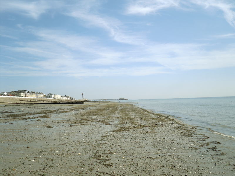 Worthing Pier in the distance