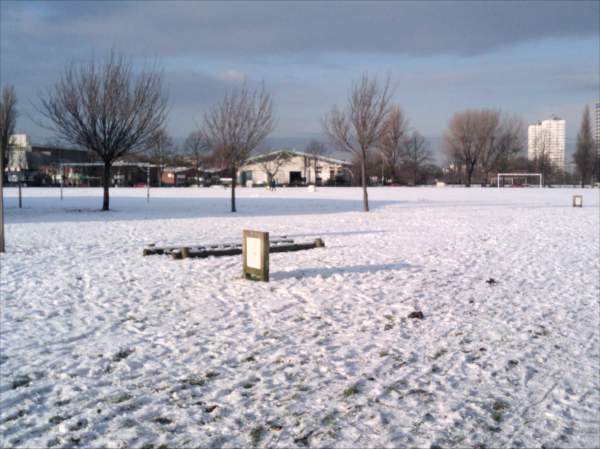 King George's park, Earlsfield, Winter