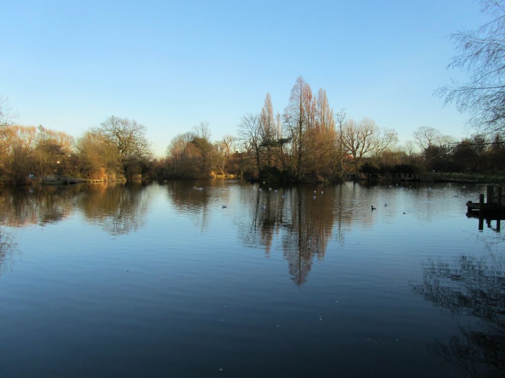 view across the pond on Wandsworth Common