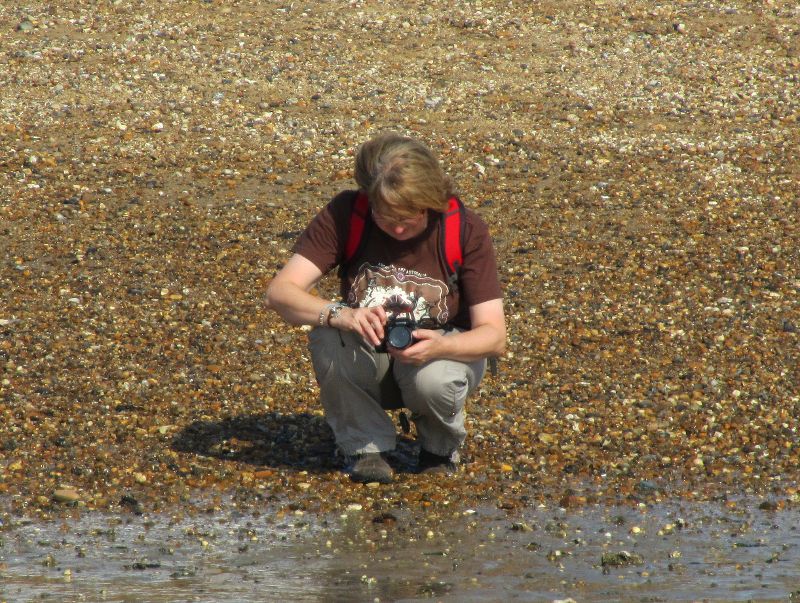 who's photographing whom ?