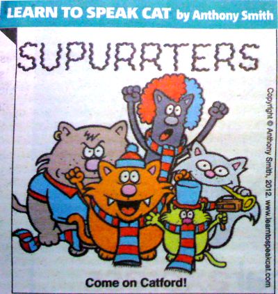Learn To Speak Cat (Metro - 7th Mar 2012)