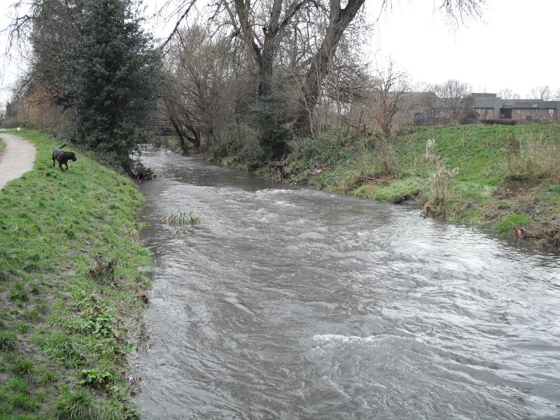 The River Ravensbourne running deep and fast