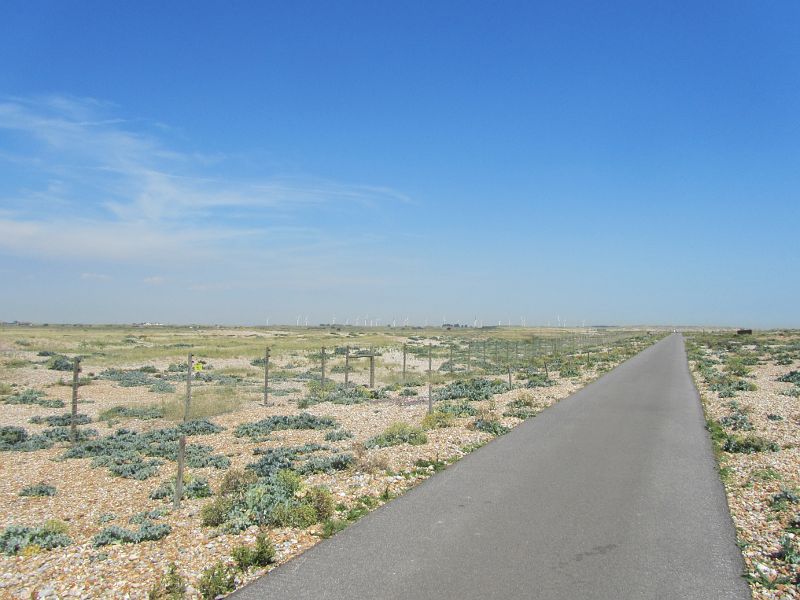 the endless road across the salt flats of Rye nature reserve