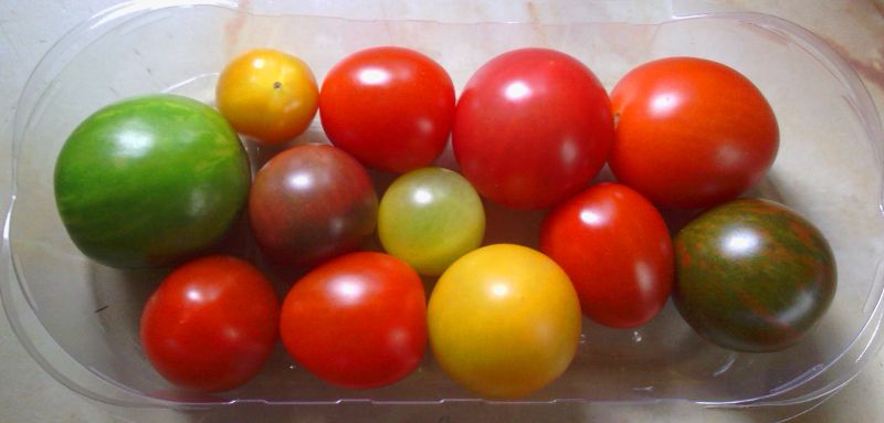 assorted colour tomatoes from Lidl