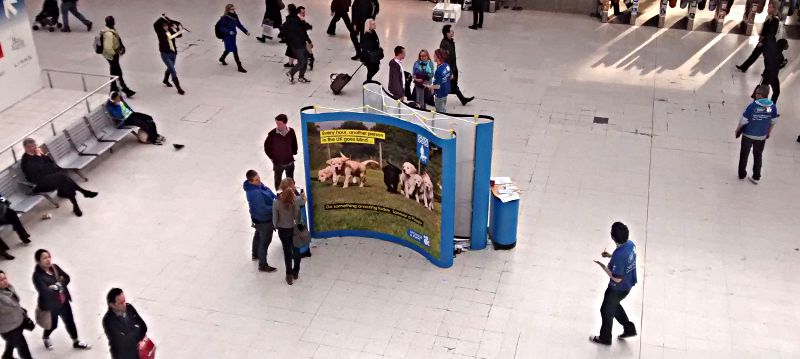 guide dog stand on Waterloo station yesterday