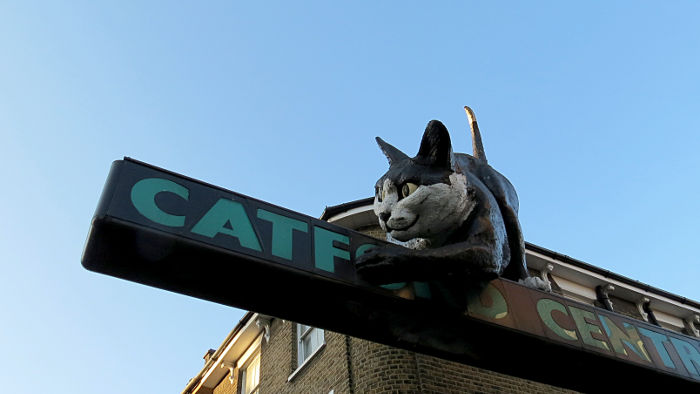 The Catford Cat
