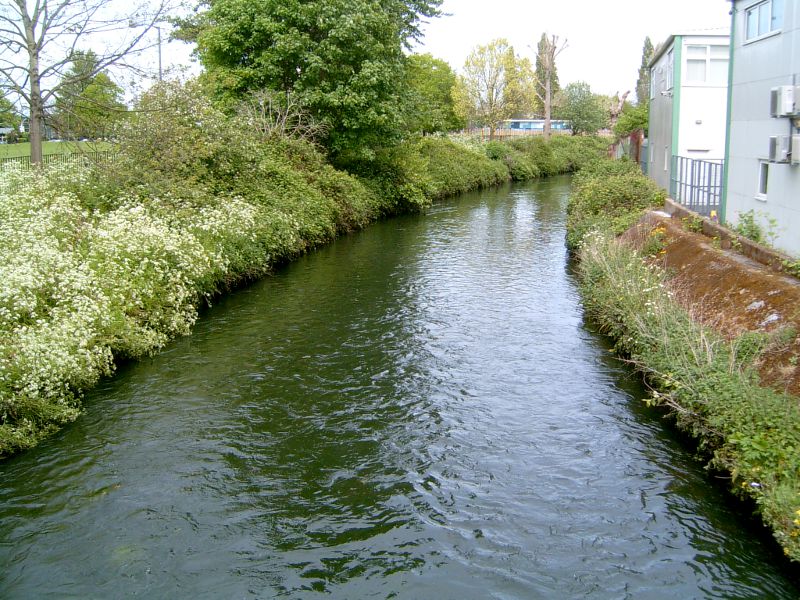 The river Wandle looking north