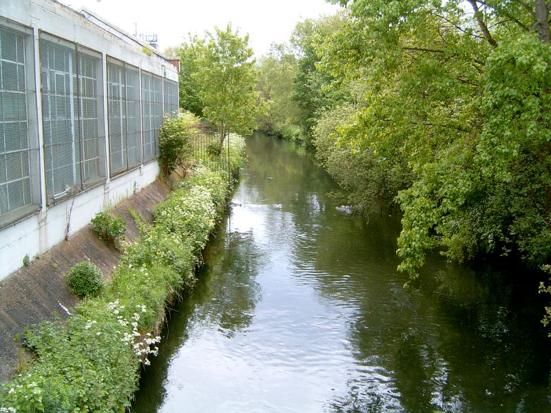 looking south along the river wandle