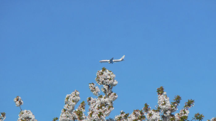 blue sky with an
                          aeroplane