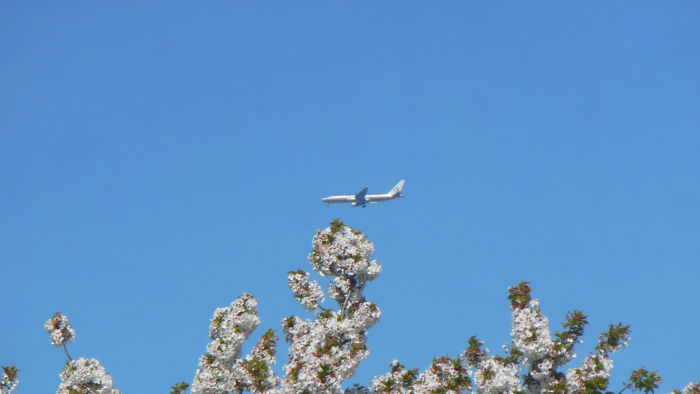 blue sky with an
                          aeroplane