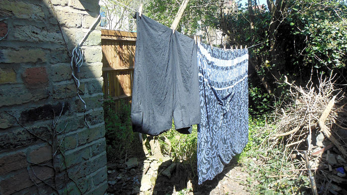 washing on the
                              line