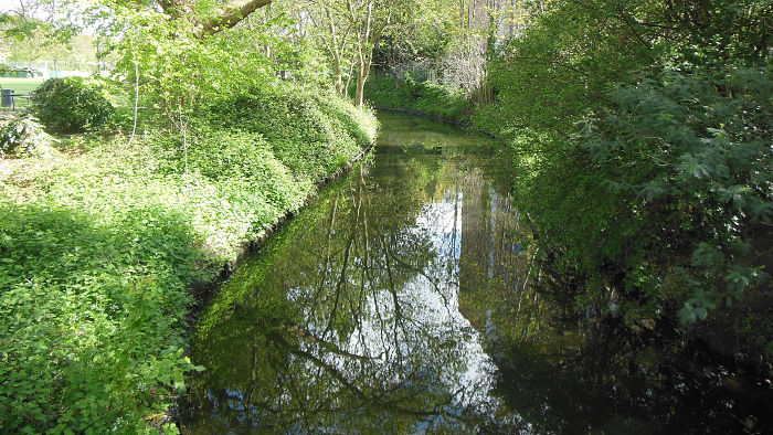The River Ravensbourne looking very
                          placid and still