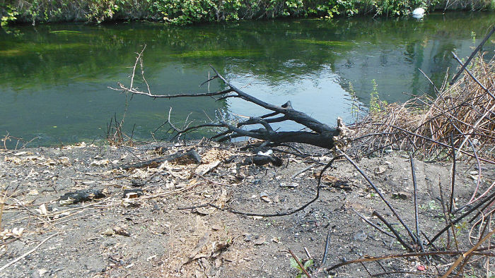 remains of a fire on the river bank