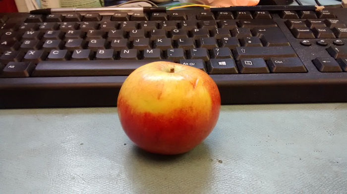 a small apple
                              for breakfast