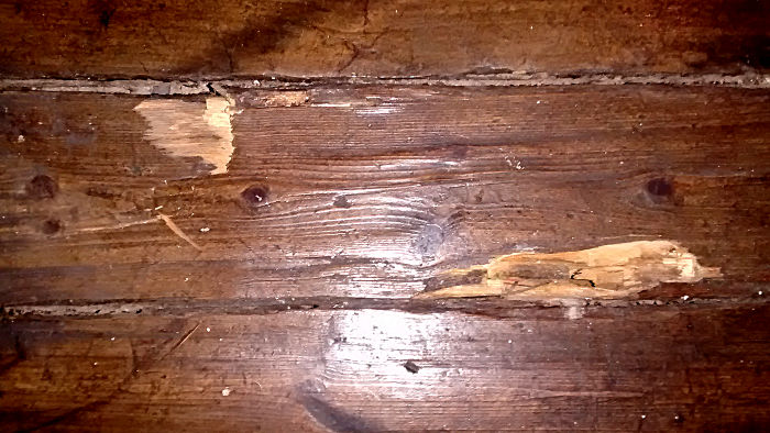 rotten floorboards