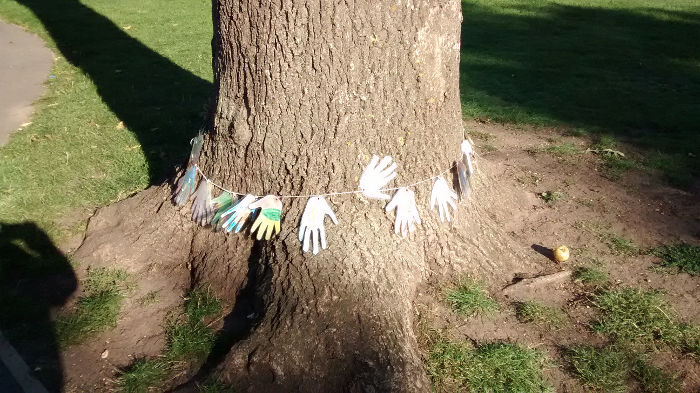 a collection
                                  of severed hands !