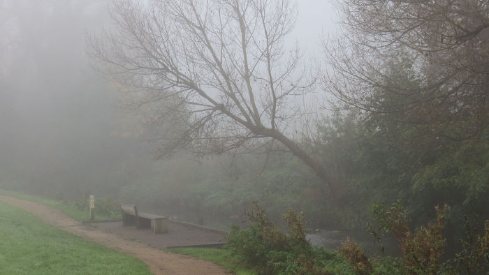 The river Ravensbourne
                  shrouded in fog