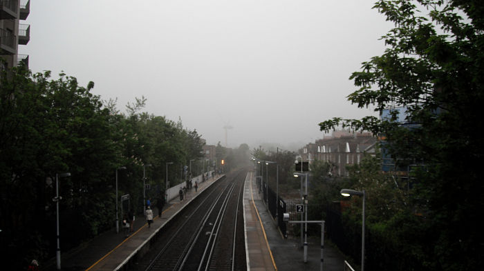 dull and misty
                          morning