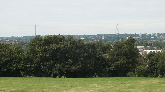 view from the top of
                          Mountsfield Park