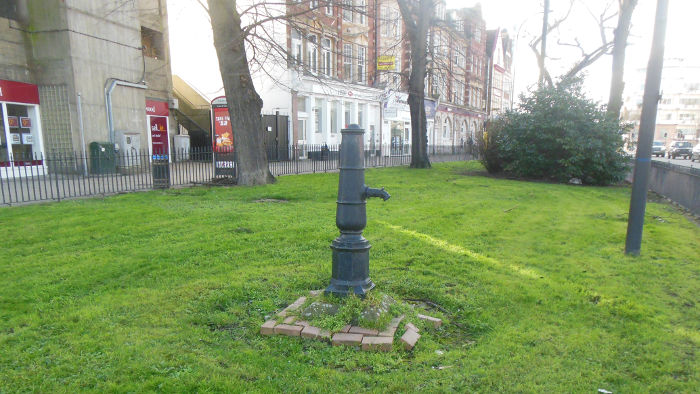 Rushey Green
                            village pump