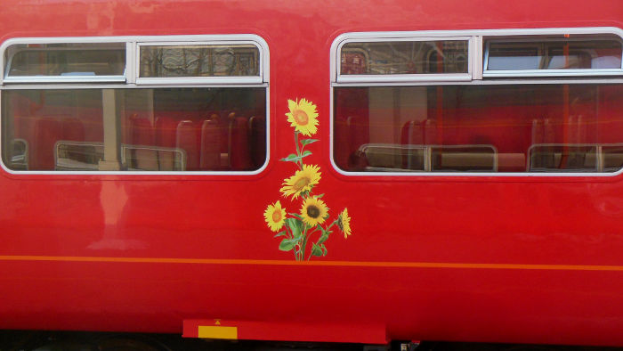 sunflowers on side
                          of train