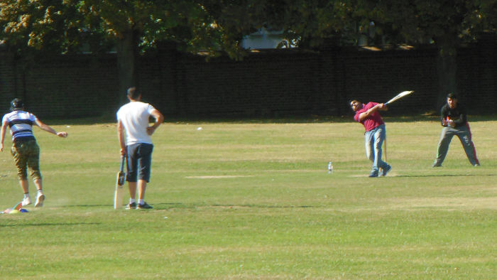 cricket on Wandsworth
                      Common
