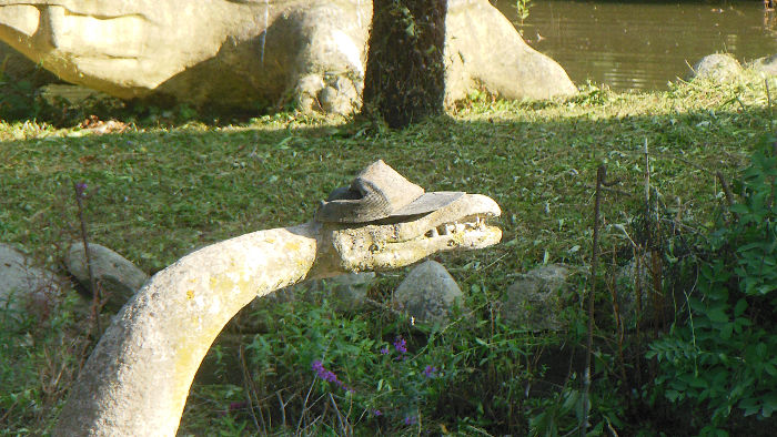 dinosaur with a hat on