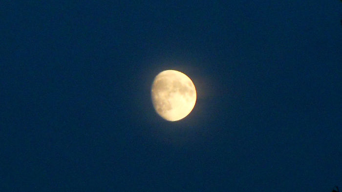Close up of the moon using my Nikon S6300