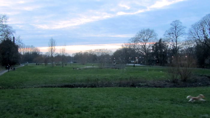 sunset at Ladywell Fields