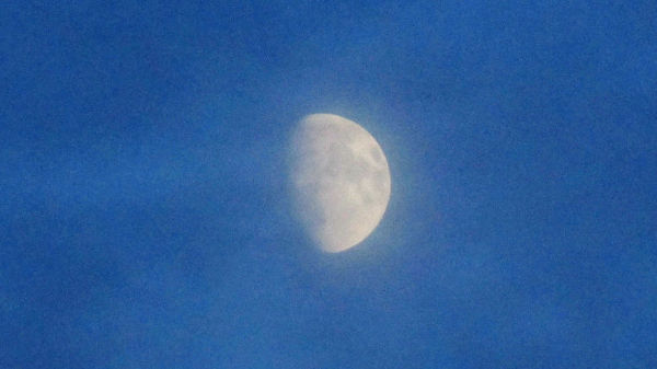 the moon through thin misty
                  clouds