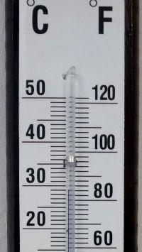 29 degrees Celcius