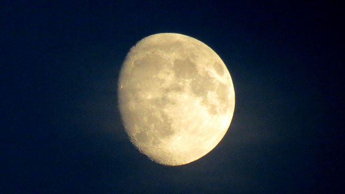 the moon seen on my Canon SX40