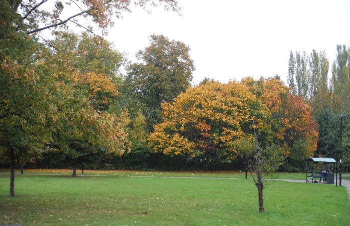 a wonderful
                            display of autum colours