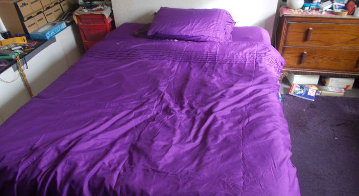 Deep Purple in
                          Bed(rock)