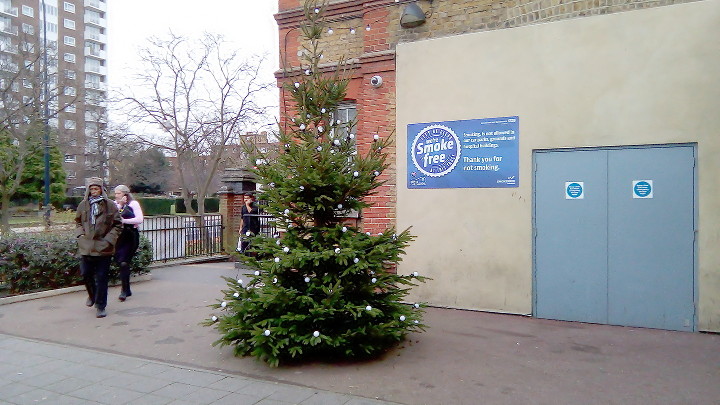 Xmas tree outside the
                        entrance of Lewisham Hospital