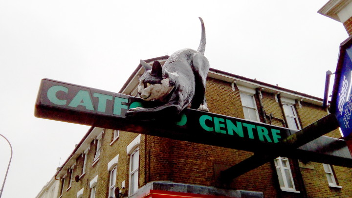 the giant cat of Catford