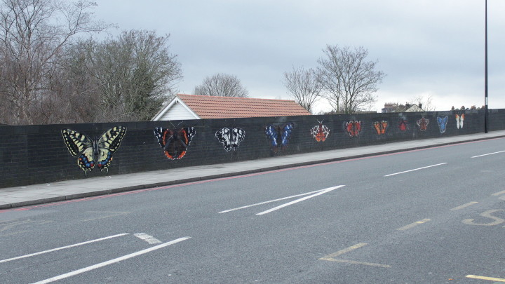 the famous Catford
                        butterflies