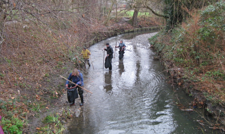 volunteers cleaning the river and banks