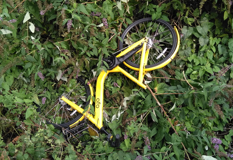 dumped Ofo bike