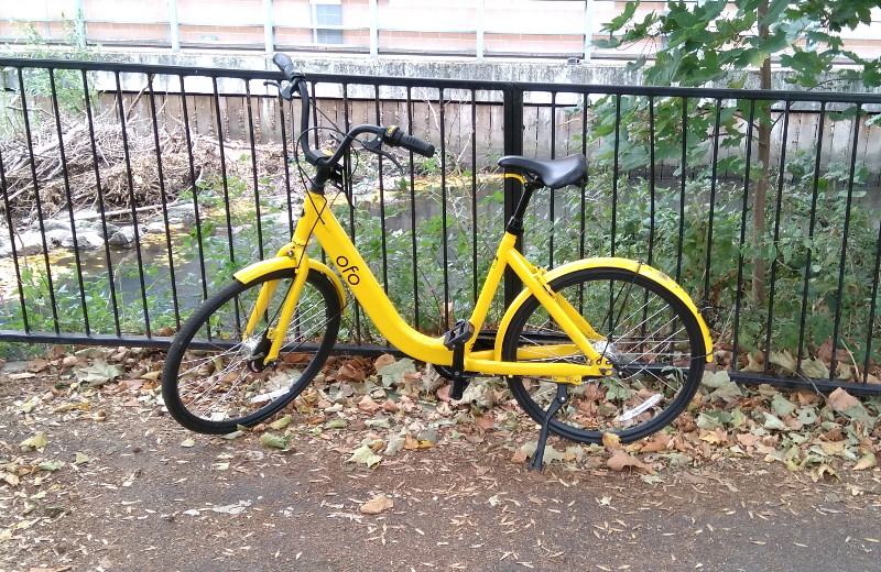 an Ofo bike parked in
                        a strange place