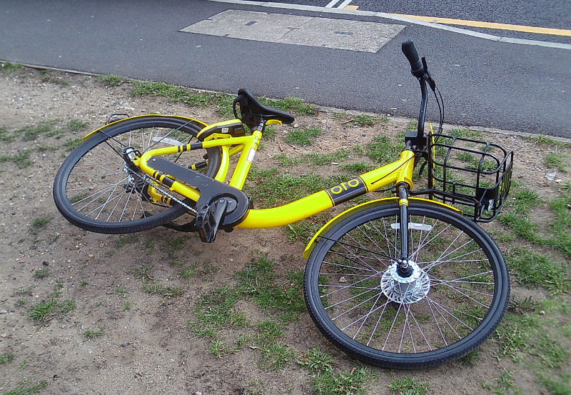 Another Ofo bike !