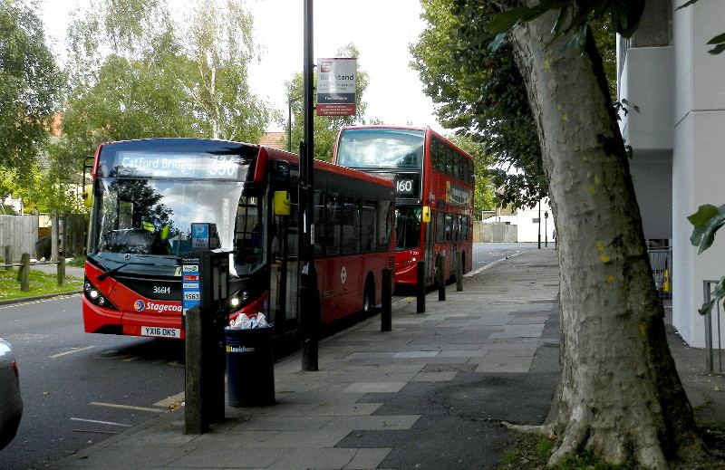 Bus stand in Thomas
                        Lane