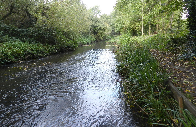 The Pool River