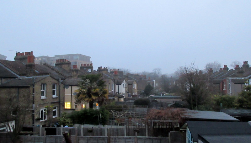 misty, murky morning
