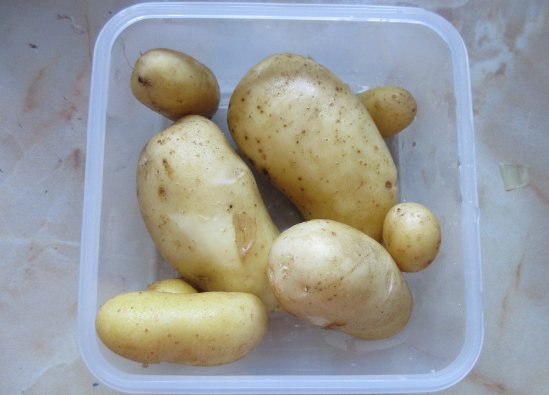 more home grown
                        potatoes