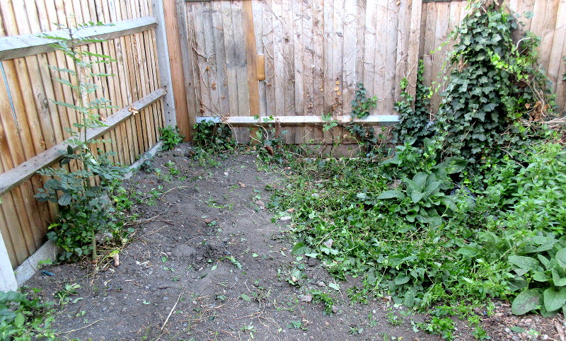 another patch of
                        mostly cleared garden