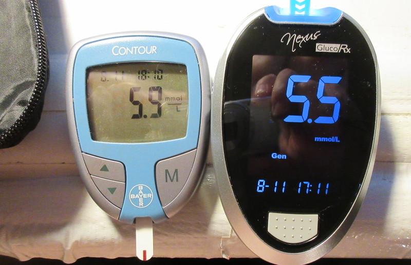 blood glucose meters