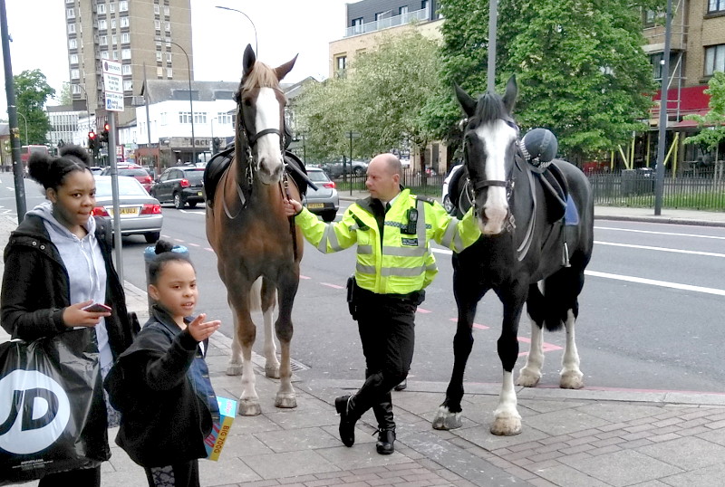 two horses and a copper